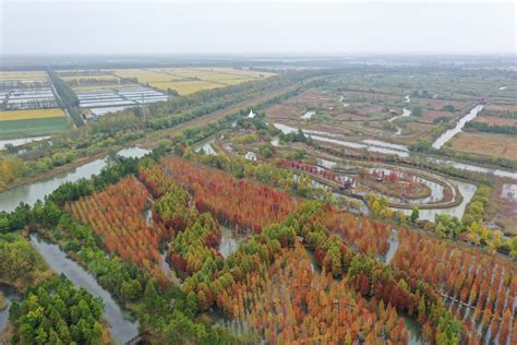 滁州到洪澤汽車多久？探索旅途時光與路途條件的多樣性